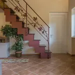 Cascina Oddone Prati Winery Casa vacanze Strevi